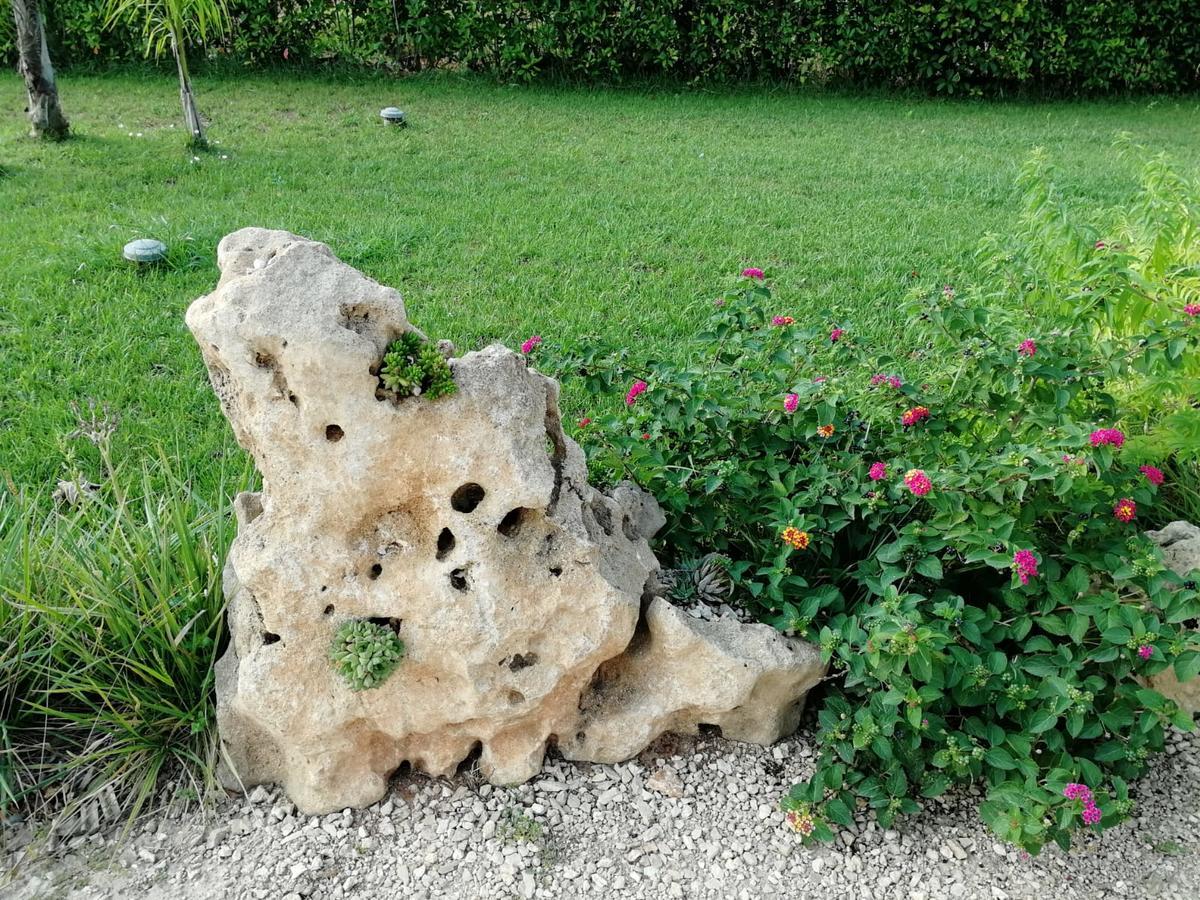 Affittacamere Giardino D'oriente *
